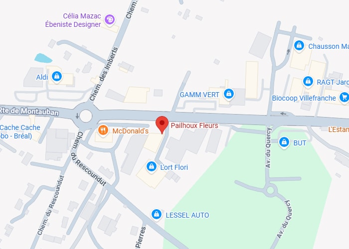 Pailhoux Fleurs: carte d'accès près de McDonald's et GAMM VERT. Carte de Villefranche. Localisation de Pailhoux Fleurs (épingle rouge) sur la Route de Montauban, entre McDonald's, GAMM VERT, Aldi et BUT.